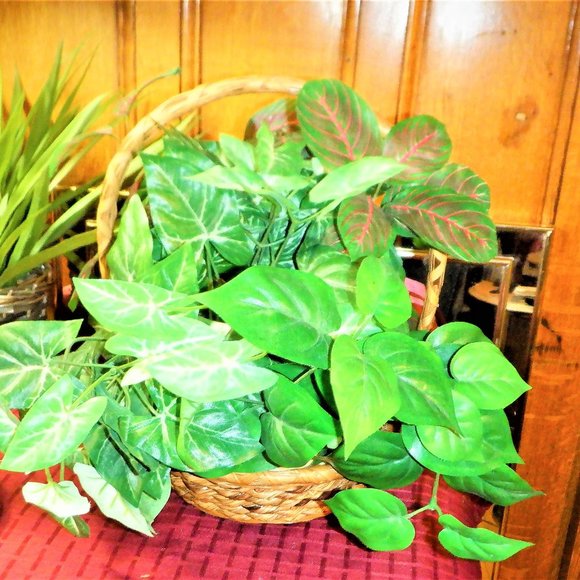 ~~~ Refreshing BASKET /Handle with GREENERY ~~~ - Picture 1 of 1